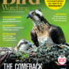 Bird Watching Magazine April 2024