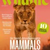 BBC Wildlife Magazine April 2024 Issue 516