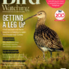Bird Watching Magazine June 2024