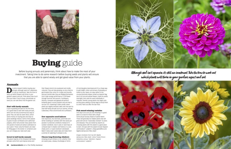 BBC Gardeners’ World Guide Thrifty Gardener - Image 2