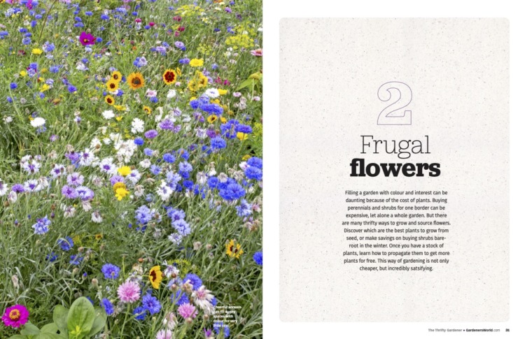 BBC Gardeners’ World Guide Thrifty Gardener - Image 2