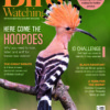 Bird Watching Magazine August 2024