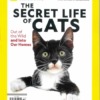 National Geographic Special Magazine Cats Life