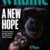 BBC Wildlife Magazine October 2024 522