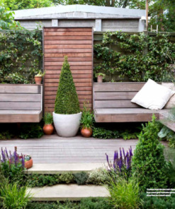 BBC Gardeners’ World Guide Your Pruning Year 2025 Why Prune