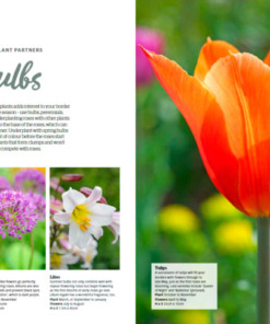 BBC Gardeners’ World Guide Your Guide to Roses 2025 - Bulbs