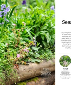 BBC Gardeners’ World Guide Gardening for Shade 2025 Seasonal Stars