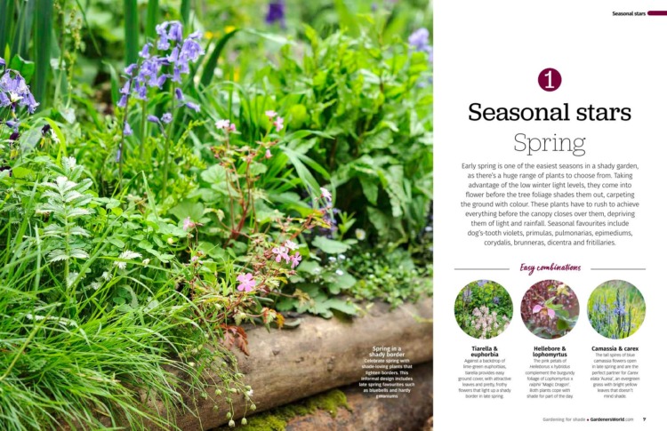BBC Gardeners’ World Guide Gardening for Shade 2025 Seasonal Stars