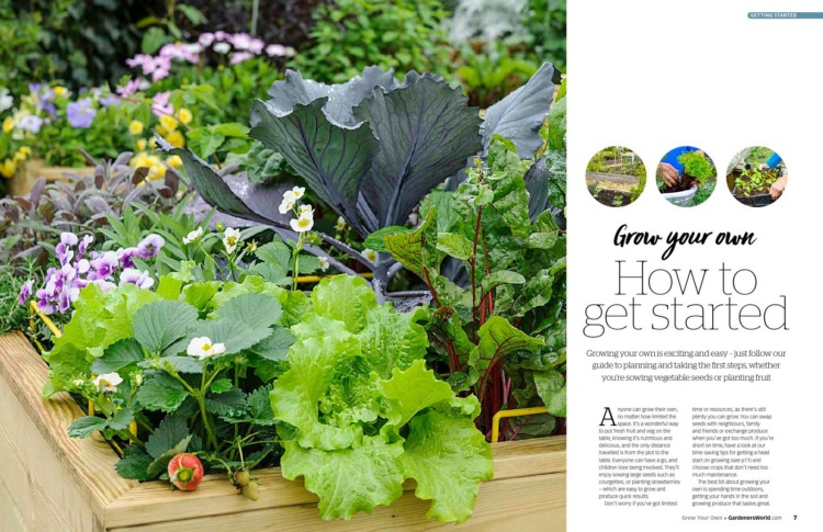BBC Gardeners’ World Guide Grow Your Own 2025 Get Started