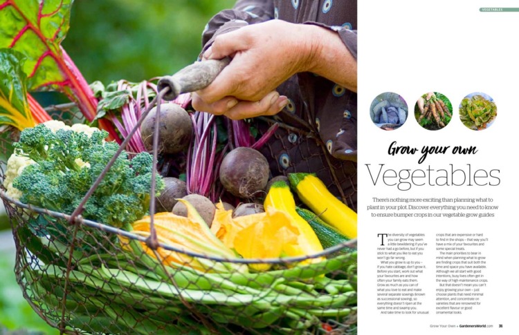 BBC Gardeners’ World Guide Grow Your Own 2025 Veg