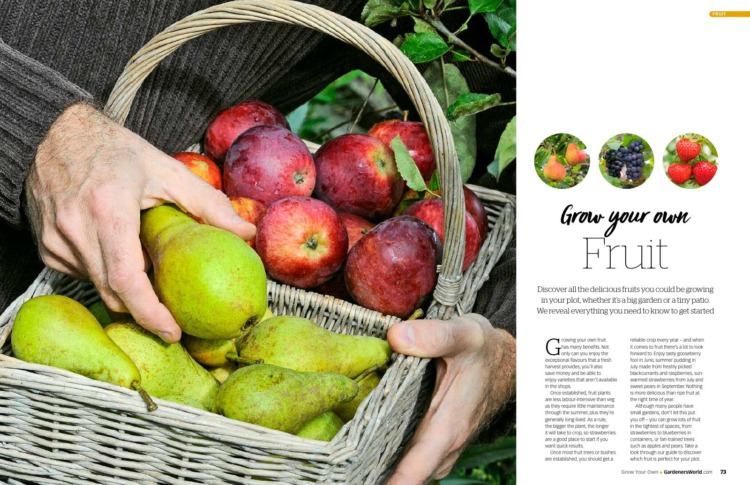 BBC Gardeners’ World Guide Grow Your Own 2025 - Image 2