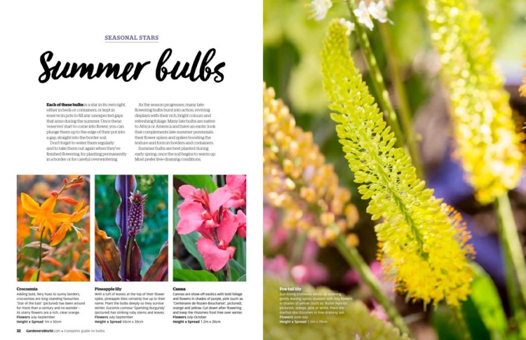 BBC Gardeners’ World Guide Complete Guide to Bulbs 2025 Summer Preview