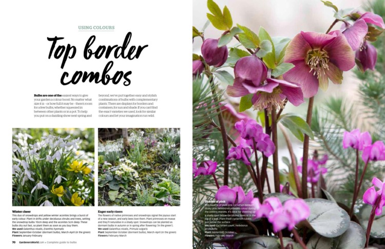 BBC Gardeners’ World Guide Complete Guide to Bulbs 2025 Borders Preview