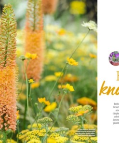 BBC Gardeners’ World Guide Complete Guide to Bulbs 2025 Knowhow Preview