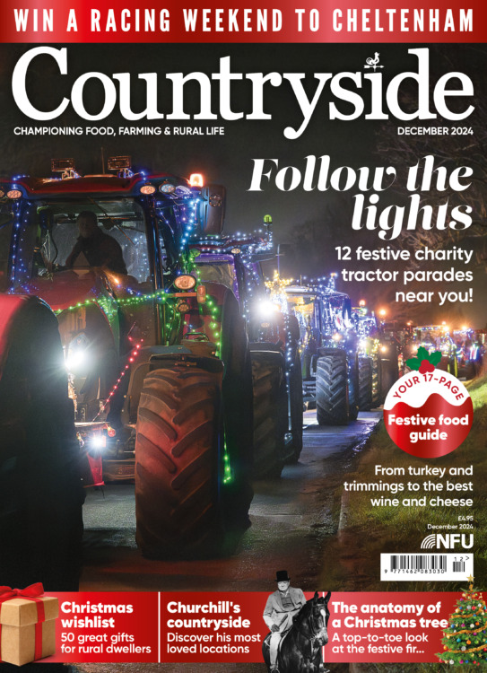 Countryside Magazine December 2024