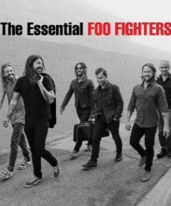 The Essential Foo Fighters Vinyl
