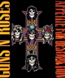 Guns N' Roses Vinyl: Appetite For Destruction