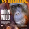 BBC Wildlife Magazine August 2025 Issue 533