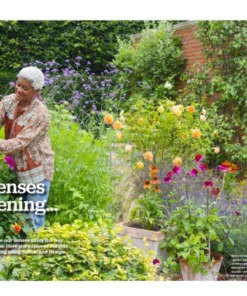 BBC Gardeners World Magazine August 2025 p40-44 Arit Preview