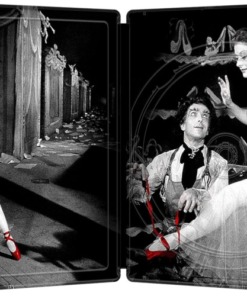 The Red Shoes Steelbook DVD Inside Cover