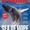 BBC Wildlife Magazine October 2025 Issue 535