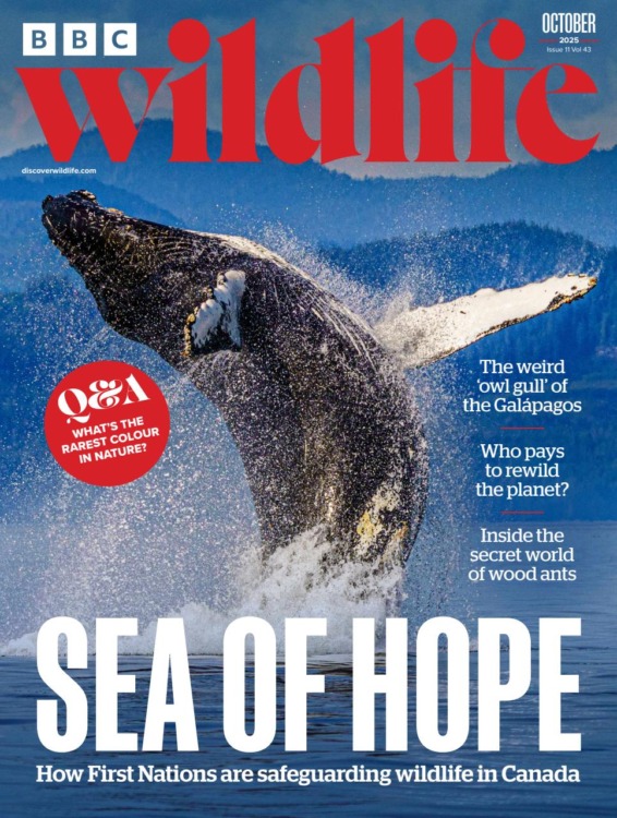 BBC Wildlife Magazine October 2025 Issue 535