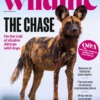 BBC Wildlife Magazine September 2025/534