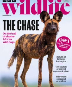 BBC Wildlife Magazine September 2025/534