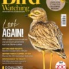 Bird Watching Magazine September 2025