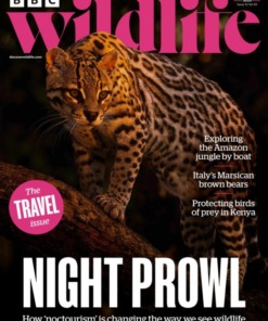 BBC Wildlife Magazine November 2025/536